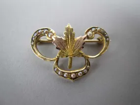 Vintage 14 Carat Gold and Seed Pearl Maple Leaf Brooch
